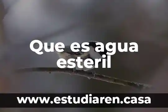 Que es el trabajo esteril fisiocratas 4 Que es agua esteril