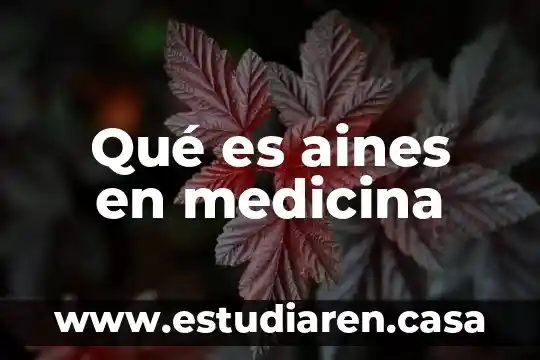 Qué es aines en medicina