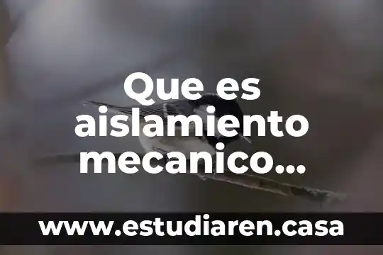 Que es trabajo mecanico y como se calcula 6 Que es aislamiento mecanico positivo