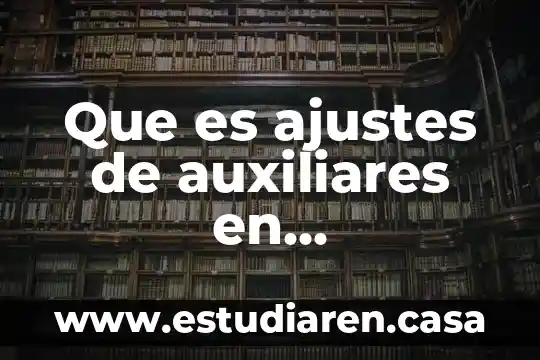 Que es ajustes de auxiliares en administracion