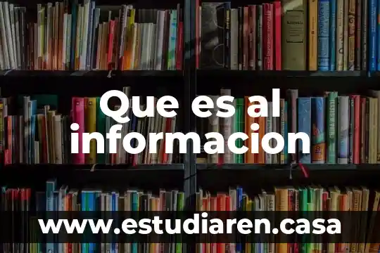 Que es al informacion