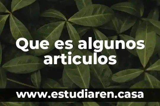 Que es algunos articulos