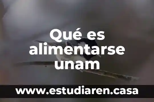 Que es pae unam 7 Qué es alimentarse unam