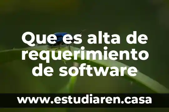 Que es alta de requerimiento de software