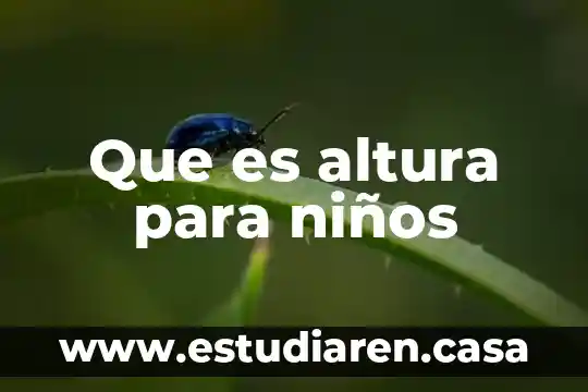 Altura acromion que es 3 Que es altura para niños