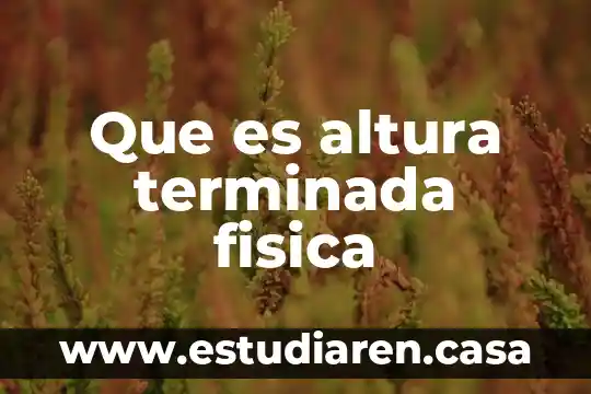 Altura acromion que es 8 Que es altura terminada fisica