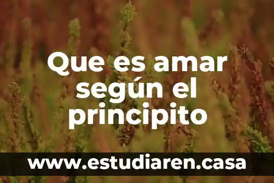 Por que es importante amar a alguien 8 Que es amar según el principito