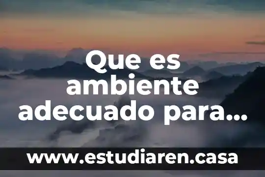 Que es ambiente adecuado para la planta del frijol