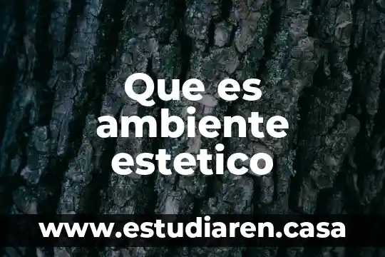 Que es un modelo estetico 3 Que es ambiente estetico