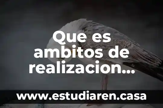 Que es ambitos de realizacion personal