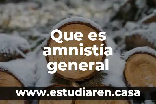 Que es la ley de amnistía en méxico 6 Que es amnistía general