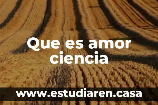 Que es sobredosis de amor 6 Que es amor ciencia