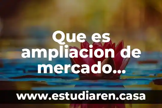 Que es un proyecto interno y externo 5 Que es ampliacion de mercado externo
