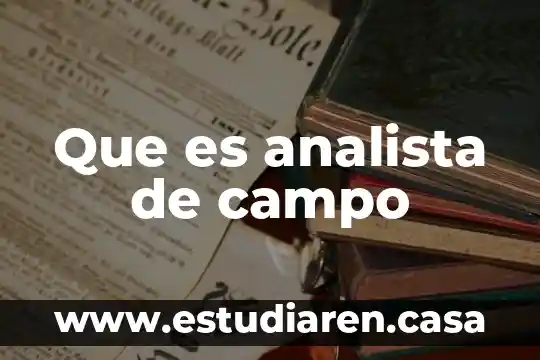 Que es reclutar en campo 5 Que es analista de campo