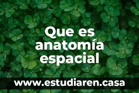 Que es anatomía espacial