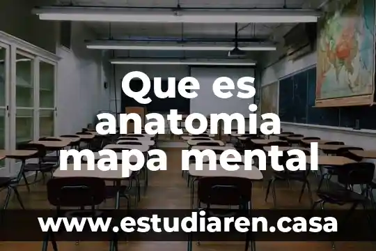 Que es anatomia mapa mental 20 Que es anatomia mapa mental