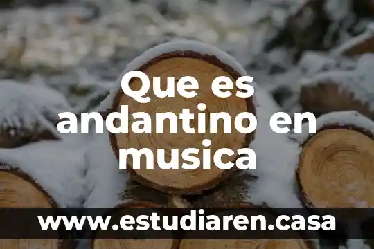 Que es la musica espacial 3 Que es andantino en musica