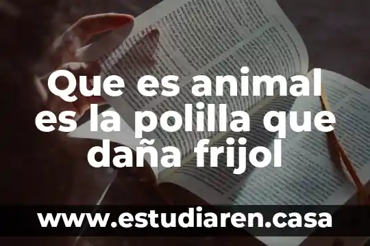 Que es animal es la polilla que daña frijol