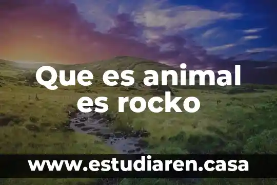 Que es animal es rocko
