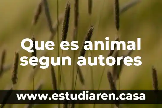 Que es animal segun autores