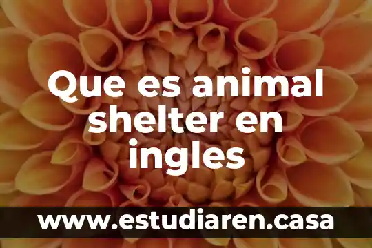 Que es animal shelter en ingles