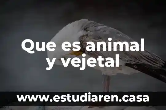 Que es animal y vejetal