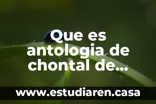Mapa conceptual que es y sus caracteristicas de una antologia 6 Que es antologia de chontal de animal