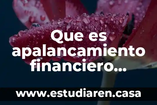 Que es apalancamiento financiero segun autores