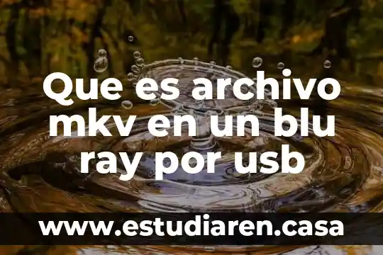 Que es un archivo ensobretado 7 Que es archivo mkv en un blu ray por usb