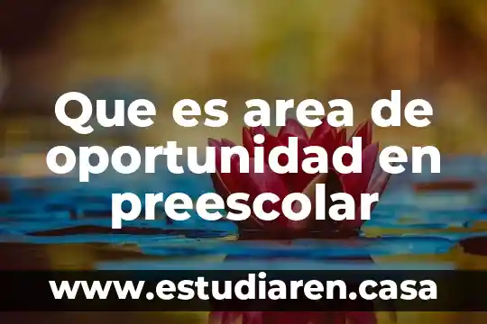 Que es un area de oportunidad en una empresa 5 Que es area de oportunidad en preescolar
