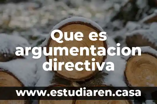 Que es la argumentacion juridica y logica juridica 4 Que es argumentacion directiva