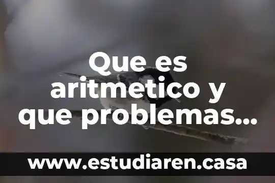 Que es aritmetico y que problemas existen