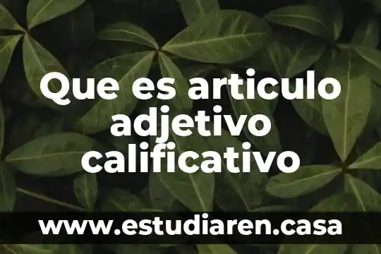 Que es articulo adjetivo calificativo