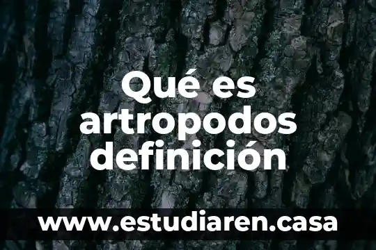 Qué es artropodos definición