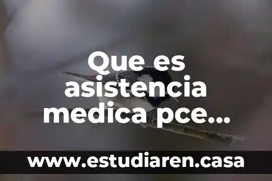 Qué es la muerte médica 3 Que es asistencia medica pce axxa