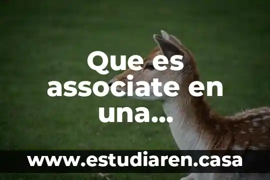 Que es un area de oportunidad en una empresa 7 Que es associate en una oportunidad de trabajo