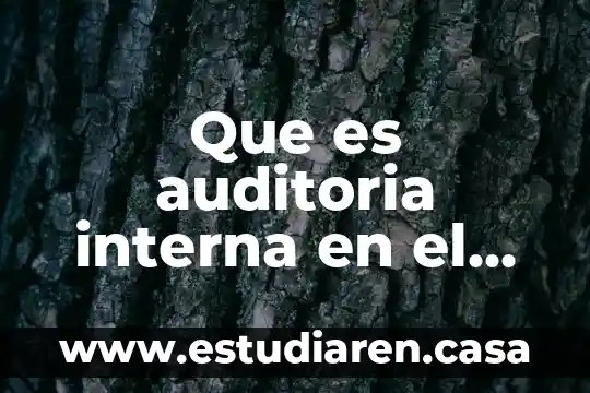 Que es sector empresarial definicion 7 Que es auditoria interna en el sector privado