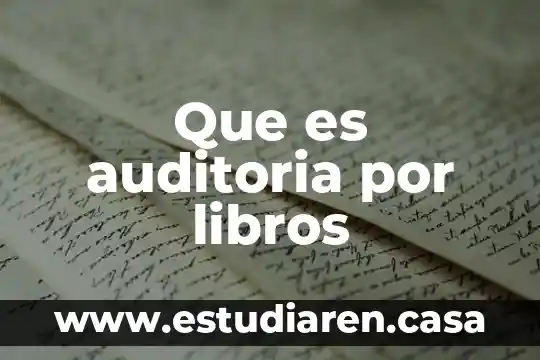Que es auditoria por libros