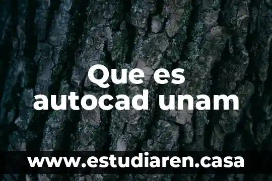 Qué es alimentarse unam 5 Que es autocad unam