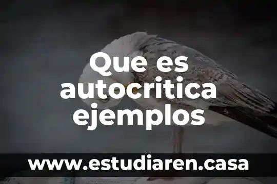 Que es autocritica ejemplos