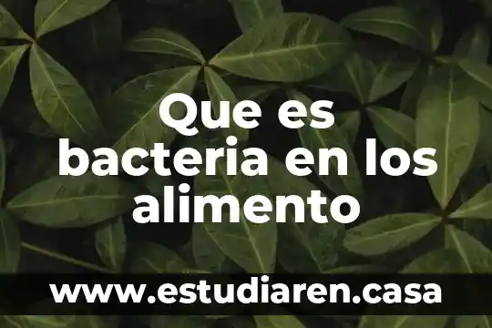 Para que es necesario saber el gramage de un alimento 4 Que es bacteria en los alimento