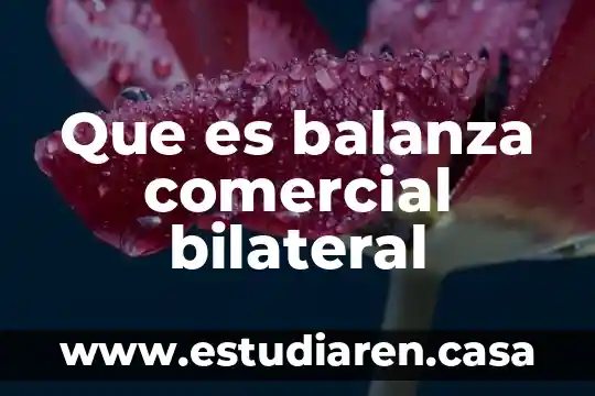Que es la comisión interamericana de arbitraje comercial 3 Que es balanza comercial bilateral
