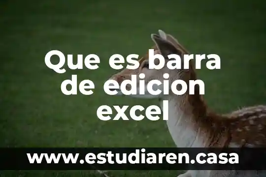 Que es barra de edicion excel