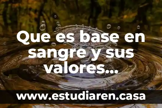 Que es una estructura en base a la administracion 5 Que es base en sangre y sus valores normales