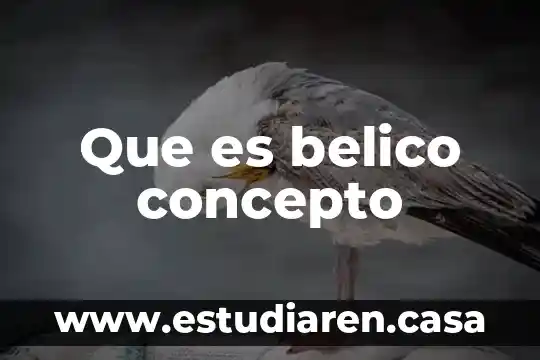 Que es formato matroska 3 Que es belico concepto