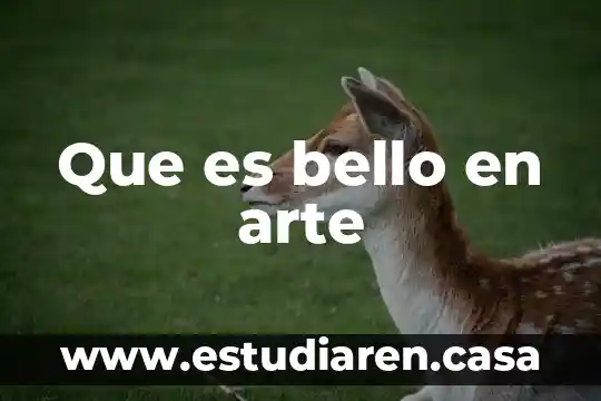 Que es el arte bello 3 Que es bello en arte