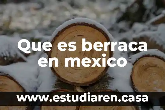 Qué es la identidad nacional de México 8 Que es berraca en mexico