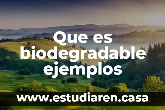 Que es una materia no biodegradable y ejemplos 3 Que es biodegradable ejemplos