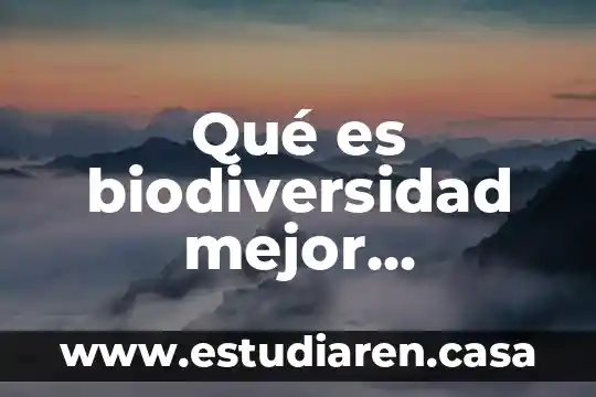 Qué es biodiversidad mejor concepto