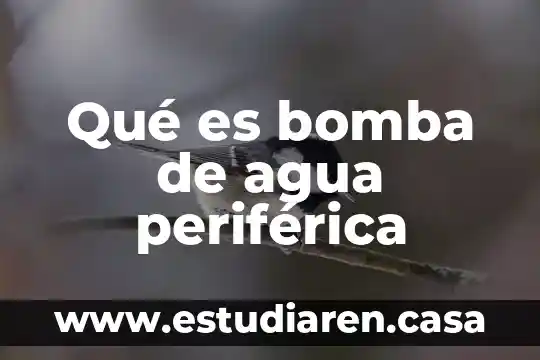 Qué es bomba de agua periférica